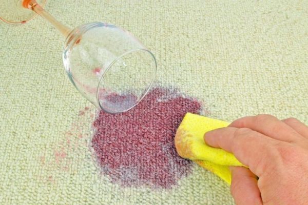 21677057 - cleaning up a spilled glass of red wine on a carpet
