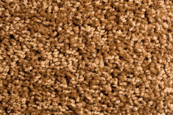 10709428 - brown carpet texture
