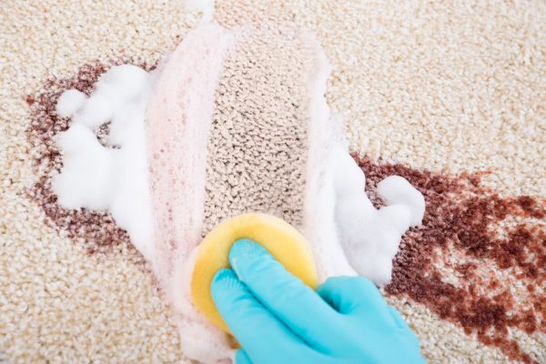 37025088 - close-up of person's hand cleaning stain on carpet with sponge